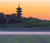 6月	備中国分寺（岡山） 日本の朝 2025年カレンダーの画像