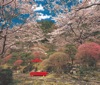 3/4月「白龍園(京都)」 四季の庭 2025年カレンダーの画像