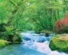 新緑の奥入瀬渓流 Pure～癒しの日本風景 2025年カレンダーの画像