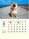  柴犬まるとおさんぽ 2025年カレンダーの画像