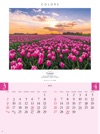 シクラメンの花 カラーズ 2025年カレンダーの画像