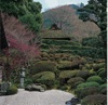 1/2月	金福寺（京都） 庭(フィルムカレンダー) 2025年カレンダーの画像
