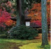 9/10月	三千院（京都） 庭(フィルムカレンダー) 2025年カレンダーの画像