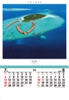  カラーズ(フィルムカレンダー) 2025年カレンダーの画像