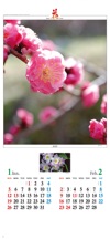 コウバイ/デンドロビウム 花 (Flower Scene) 2025年カレンダーの画像