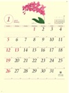 コチョウラン ボタニカルアート 内城葉子 2025年カレンダーの画像