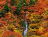 10/11月	白糸の滝(山形) 彩り日本(12月はじまり) 2025年カレンダーの画像