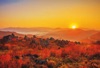 11月	秋吉台（山口） 輝く太陽 2025年カレンダーの画像