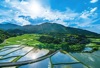 6月	田染荘（大分） 輝く太陽 2025年カレンダーの画像