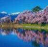 3/4月　六道の堤 伊那市（長野） 美しい水辺(フィルムカレンダー) 2025年カレンダーの画像
