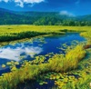 7/8月　尾瀬ヶ原（群馬） 美しい水辺(フィルムカレンダー) 2025年カレンダーの画像
