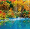 9/10月	地獄沼（青森） 美しい水辺(フィルムカレンダー) 2025年カレンダーの画像