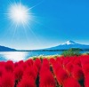 9/10月　河口湖と富士山（山梨） 輝く太陽(フィルムカレンダー) 2025年カレンダーの画像