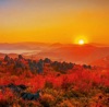 11/12月	秋吉台（山口） 輝く太陽(フィルムカレンダー) 2025年カレンダーの画像