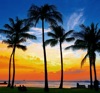 11/12月	ハワイ オワフ島（アメリカ） 世界のリゾート(フィルムカレンダー) 2025年カレンダーの画像