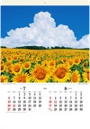 北竜町ひまわりの里（北海道） 四季の彩(フィルムカレンダー・小) 2025年カレンダーの画像