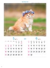 サイベリアン マイスウィーティーキャット 2025年カレンダーの画像