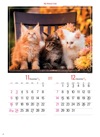 メイン・クーン マイスウィーティーキャット 2025年カレンダーの画像