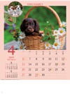 ダックスフンド ドッグファミリー 2025年カレンダーの画像