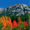 9/10月 カナディアンロッキー（カナダ） 世界の大自然(フィルムカレンダー) 2025年カレンダーの画像