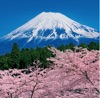 3/4月 富士市より(静岡) 富士山(フィルムカレンダー) 2025年カレンダーの画像