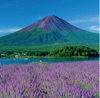 7/8月 大石公園より(山梨) 富士山(フィルムカレンダー) 2025年カレンダーの画像