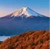 9/10月 三つ峠山より(山梨) 富士山(フィルムカレンダー) 2025年カレンダーの画像