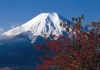 11/12月 晩秋の山にて 富士の四季 2025年カレンダーの画像