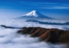 1月	富士山 魅惑の世界遺産 2025年カレンダーの画像