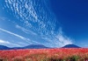 9月	生駒高原より韓国岳と甑岳（宮崎） 天地自然・森田敏隆写真集 2025年カレンダーの画像