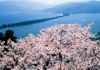 4月	傘松公園より天橋立（京都） 天地自然・森田敏隆写真集 2025年カレンダーの画像