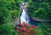 5月	ヤマツツジ咲く法体の滝（秋田） 天地自然・森田敏隆写真集 2025年カレンダーの画像