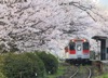 3/4月　松浦鉄道：有田～佐世保（佐賀/長崎） ローカル線紀行 2025年カレンダーの画像