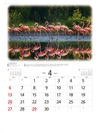 ベニイロフラミンゴ 世界動物遺産 2025年カレンダーの画像