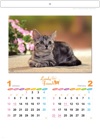  ラブリーフレンズ(猫) 2025年カレンダーの画像