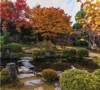10月	実光院（京都） 庭の詩情 2025年カレンダーの画像