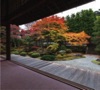 11月	泉涌寺（京都） 庭の詩情 2025年カレンダーの画像