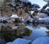 12月	縮景園（広島） 庭の詩情 2025年カレンダーの画像