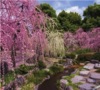 3月	城南具（京都） 庭の詩情 2025年カレンダーの画像