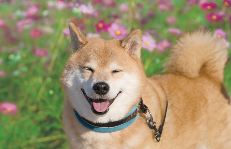 サムネイル11