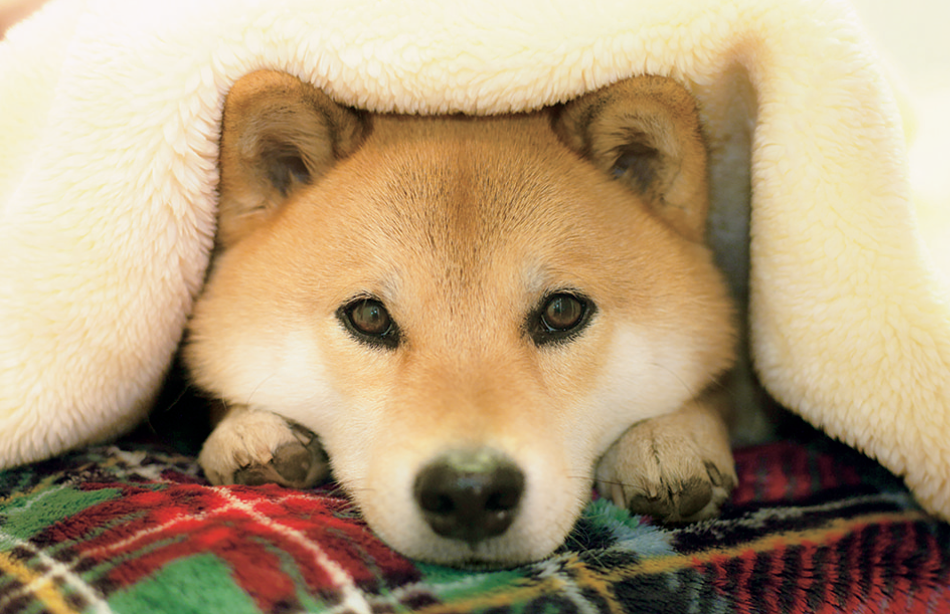 サムネイル14