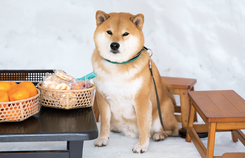 サムネイル3