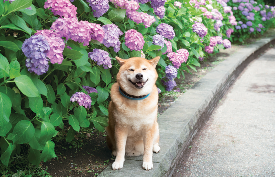サムネイル8