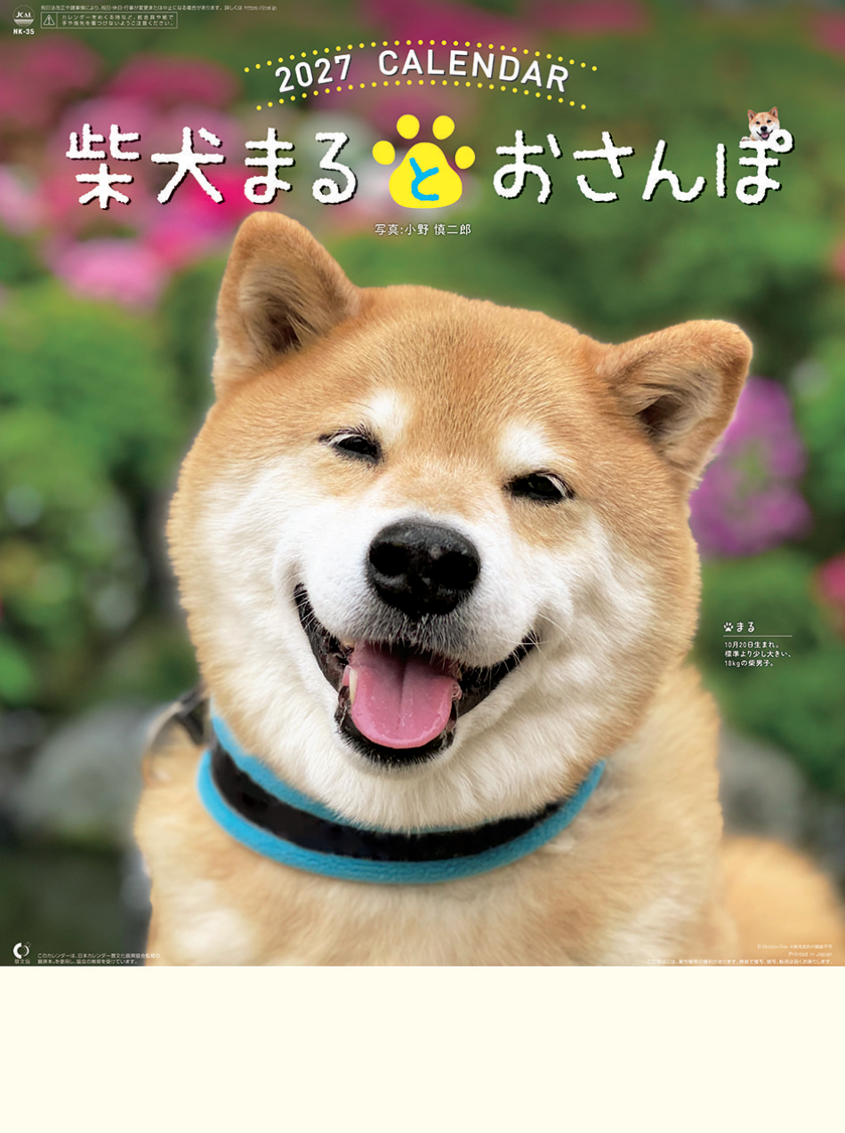  柴犬まるとおさんぽ 2027年カレンダー