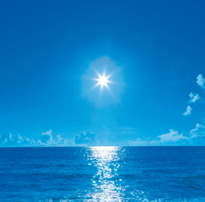サムネイル6