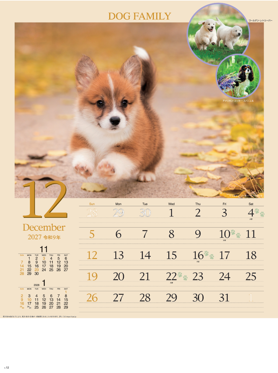 サムネイル13