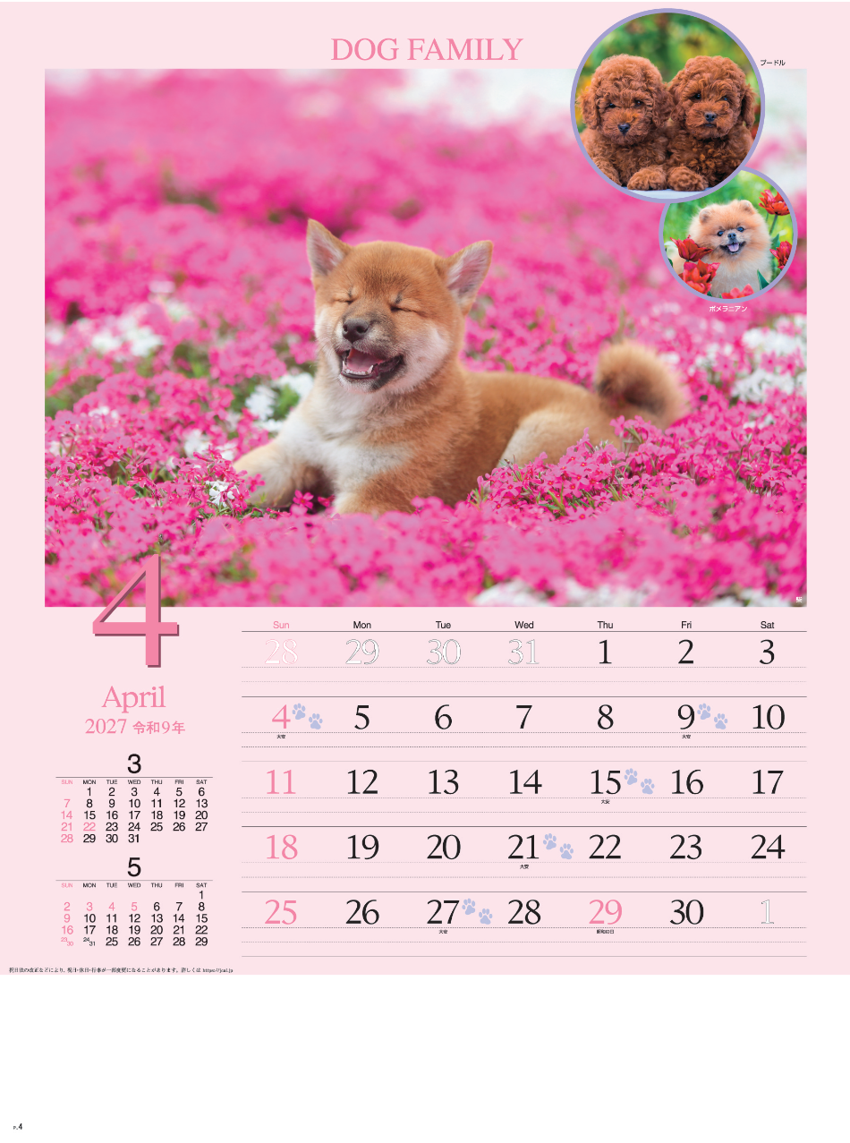 サムネイル5