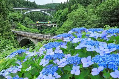 サムネイル4