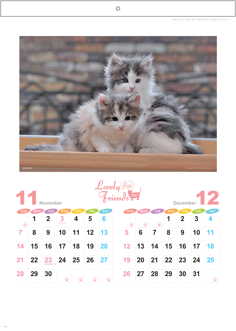 サムネイル7