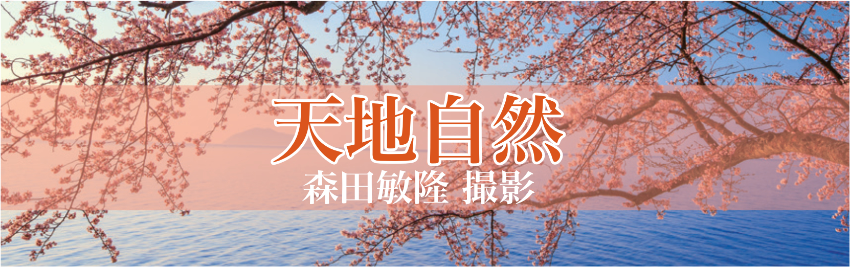 天地自然 2026年カレンダー